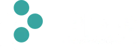 Ping Tecnologia e Segurança